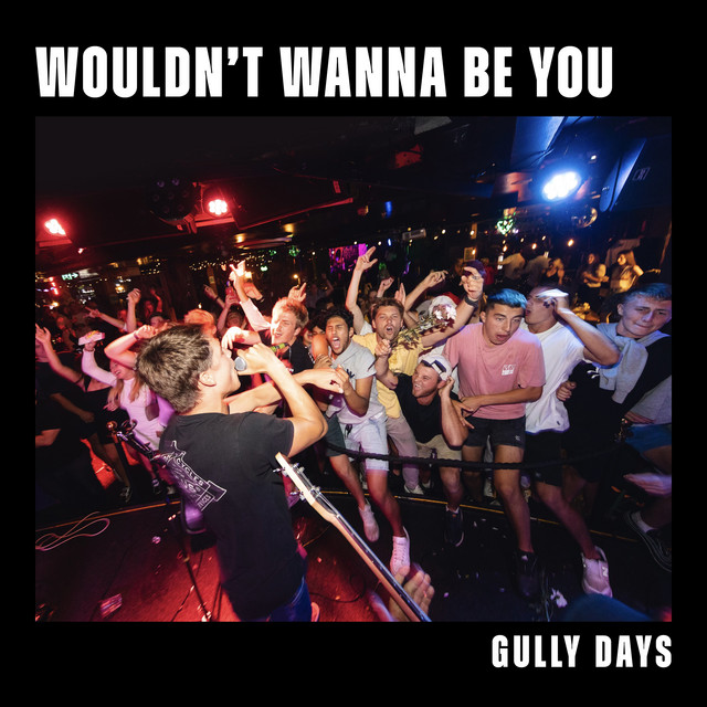 Wouldn't Wanna Be You cover