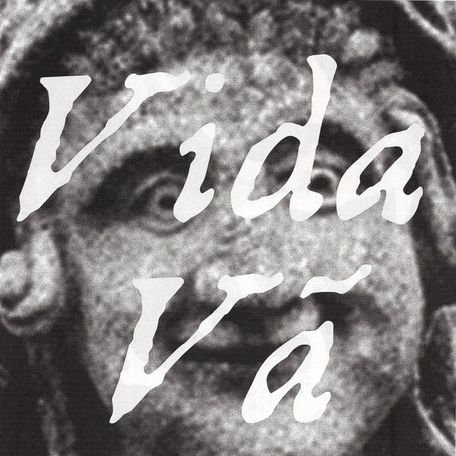 Vida vã album image