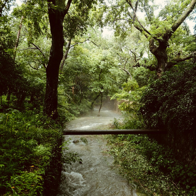trickle creek