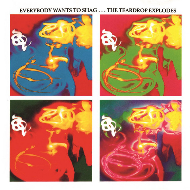 Everybody Wants To Shag... The Teardrop Explodes cover art
