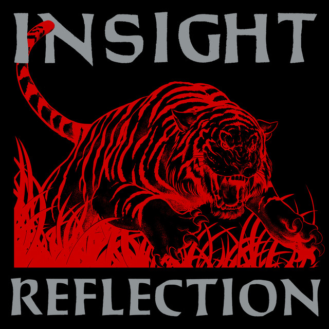 Reflection cover art