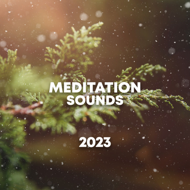 Meditation Sounds 2023 cover art