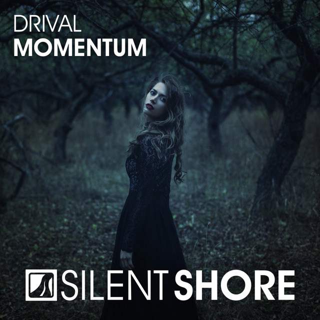Обкладинка Drival — Momentum