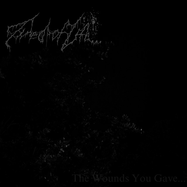 The Wounds You Gave... cover art