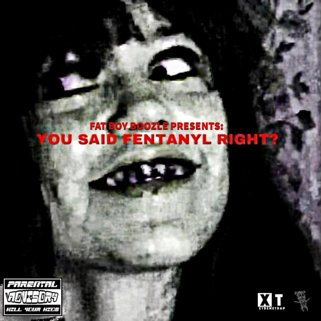 YOU SAID FENTANYL RIGHT? cover art