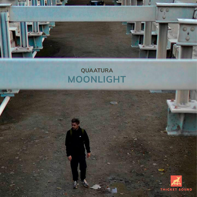 Moonlight artwork