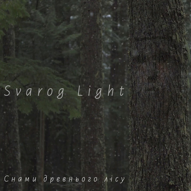 Обкладинка: Снами древнього лісу — Svarog Light
