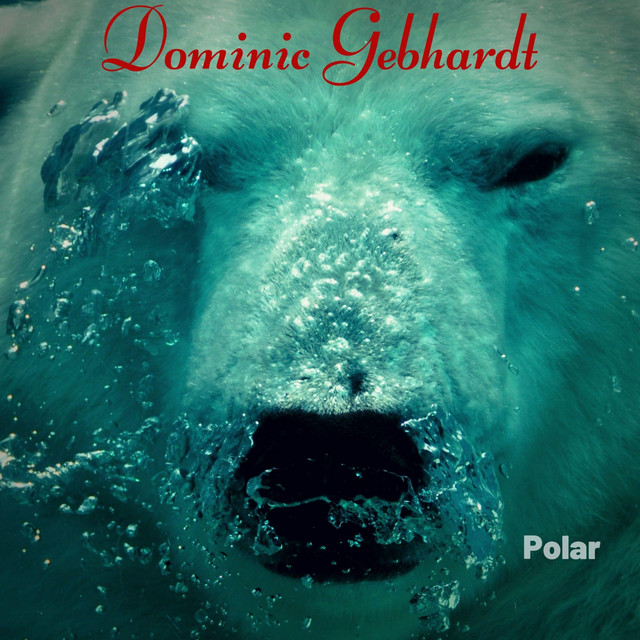 Polar - Album by Dominic Gebhardt | Spotify