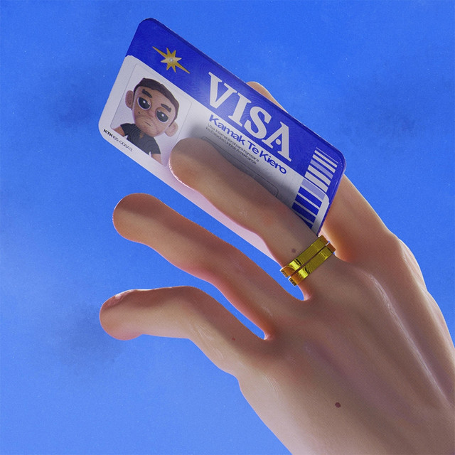 Visa cover art