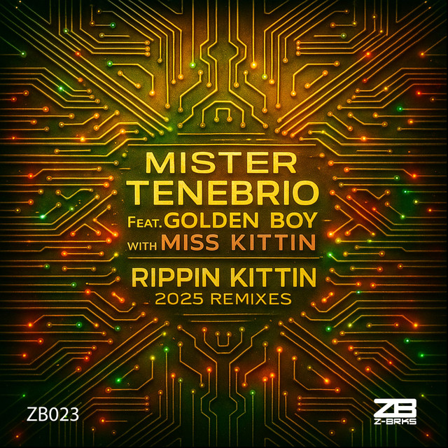 Rippin' Kittin - Mister Tenebrio Break Remix