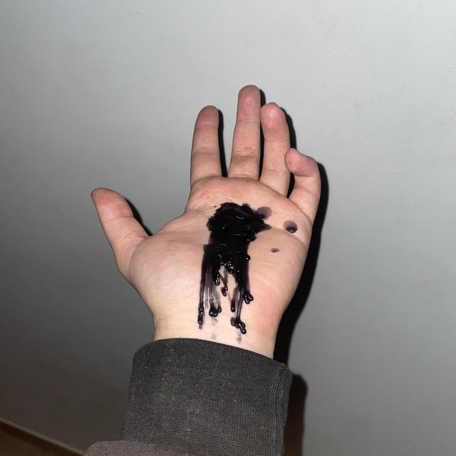 serotinia cover art