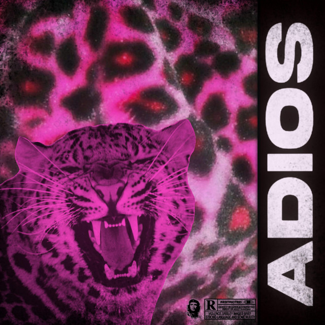 Adios cover art