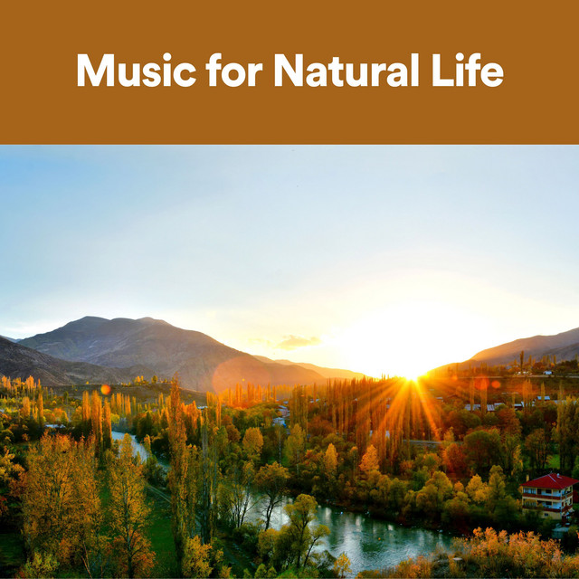 Music for Natural Life - Album by Sound of Nature Library | Spotify