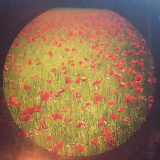 Stockholm Corona Sessions, Vol. 2 cover art