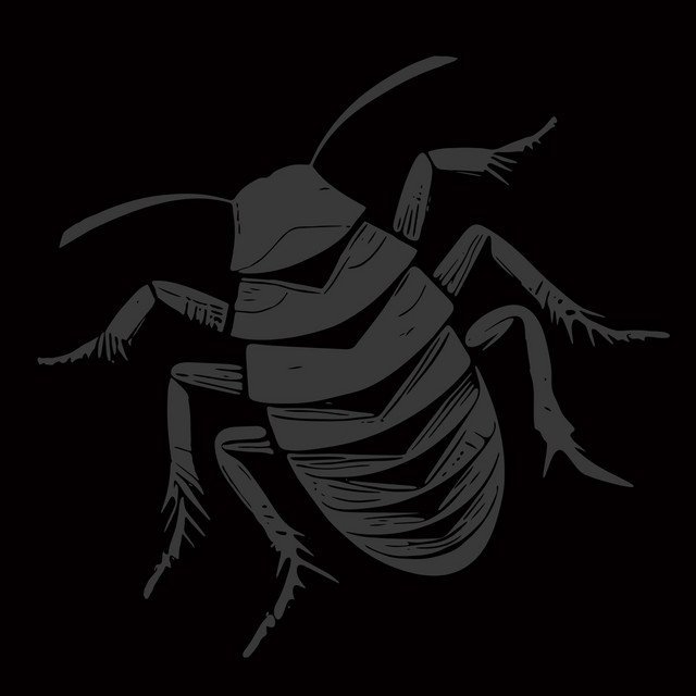 ROACH SQUAD cover art