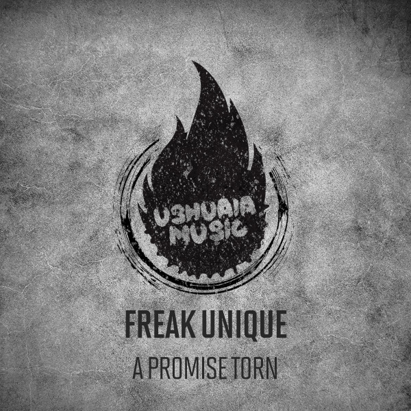 A Promise Torn cover art