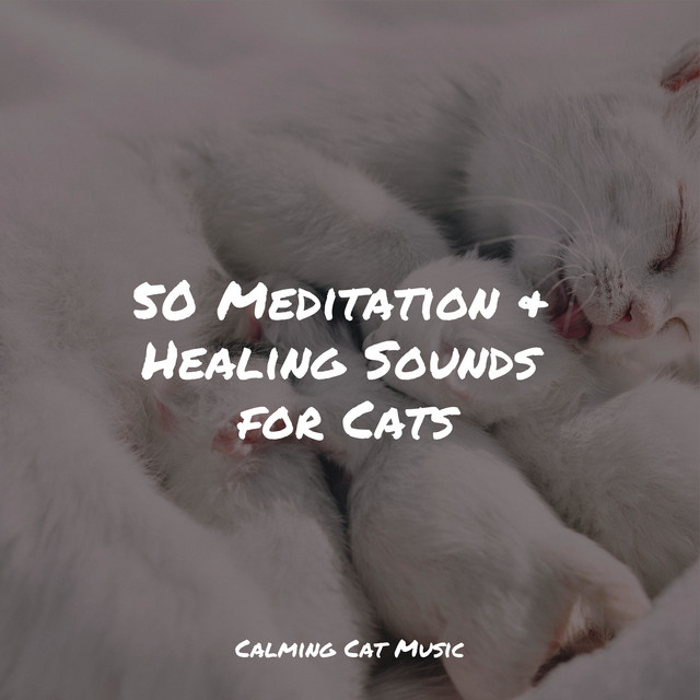 50 Meditation & Healing Sounds for Cats - Album by Music for Cats Peace ...