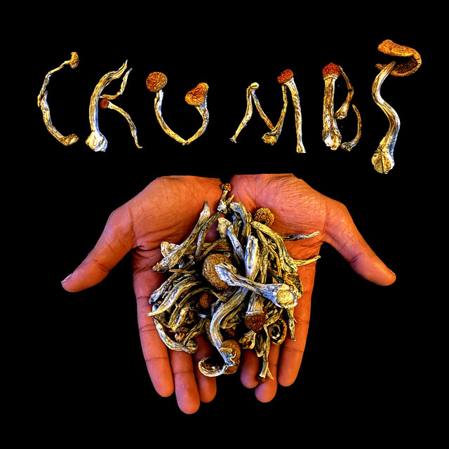 Crumbs cover art