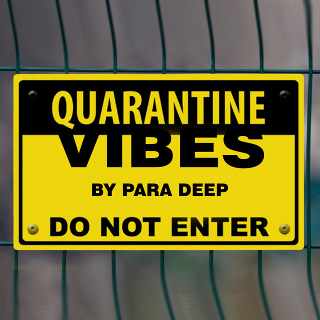Quarantine Vibes cover art
