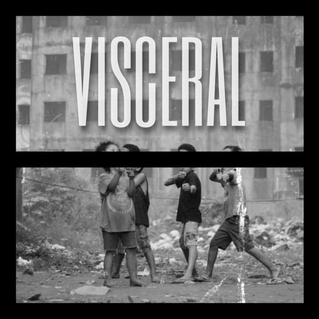 Visceral cover art