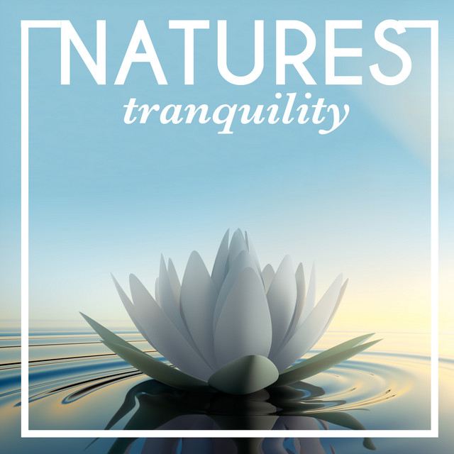 Nature's Tranquility cover art