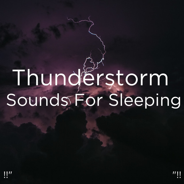 Rain Storm - song and lyrics by Thunderstorm Sound Bank, Thunderstorm ...
