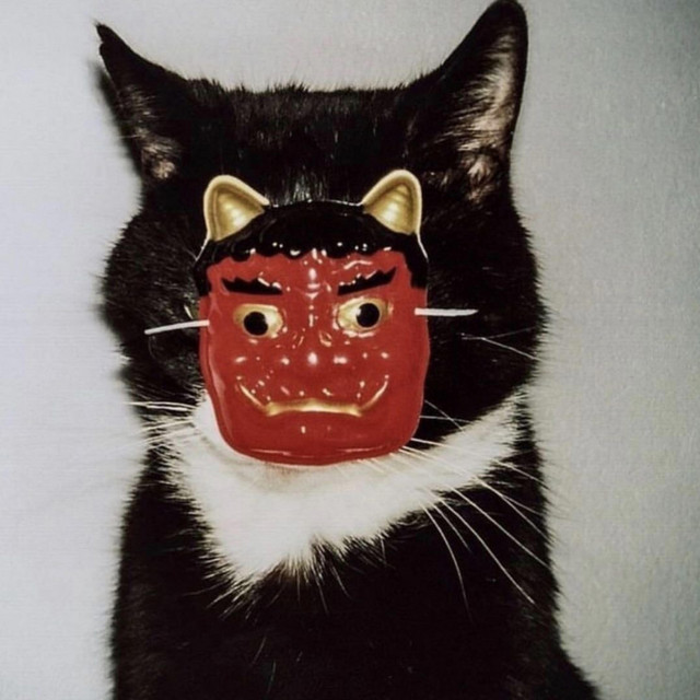 Onigiri cover art