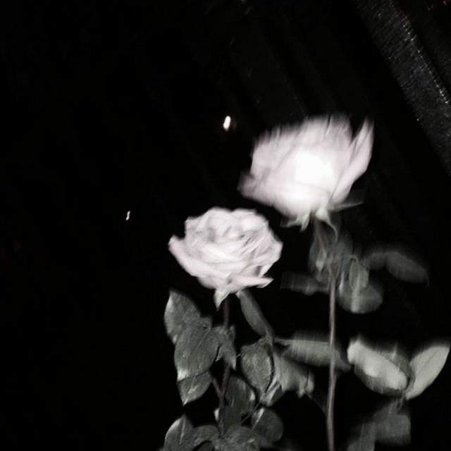 Flowers cover art
