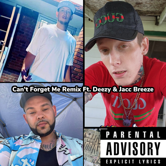 Can't Forget Me - Remix