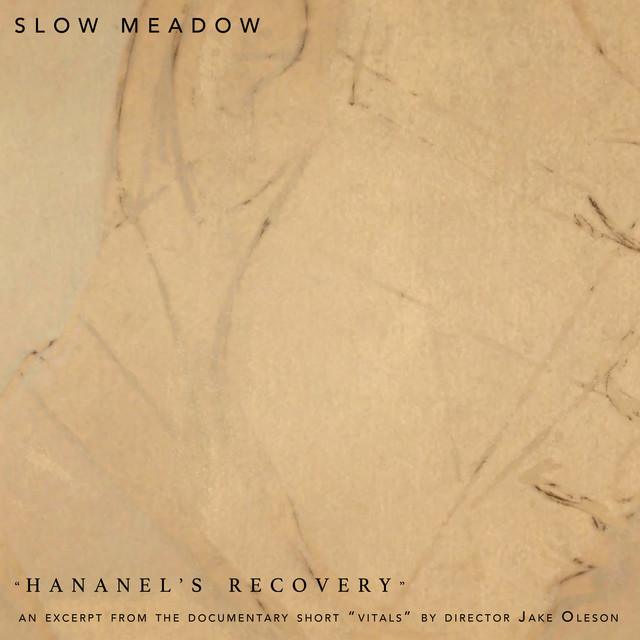 Hananel's Recovery cover art