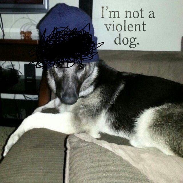 I’m not a violent dog. cover art
