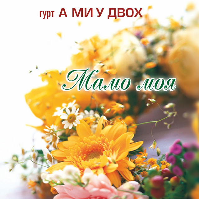 Обкладинка: Ой, ви очі — гурт "А ми у двох"