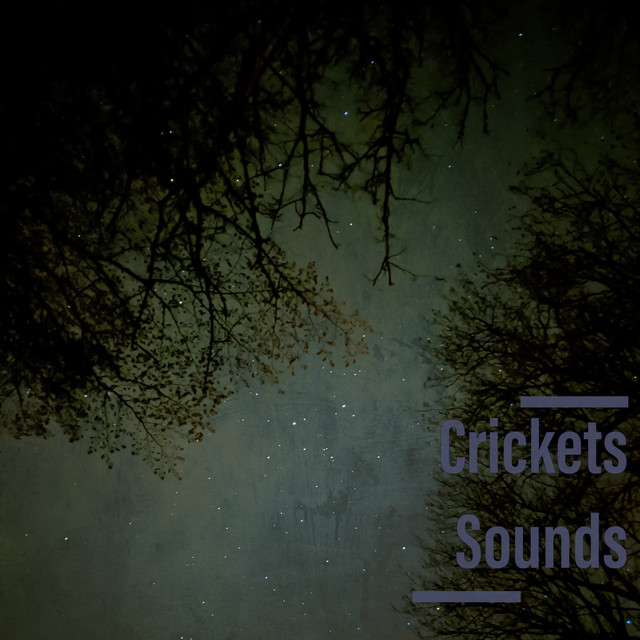 Crickets Sounds cover art