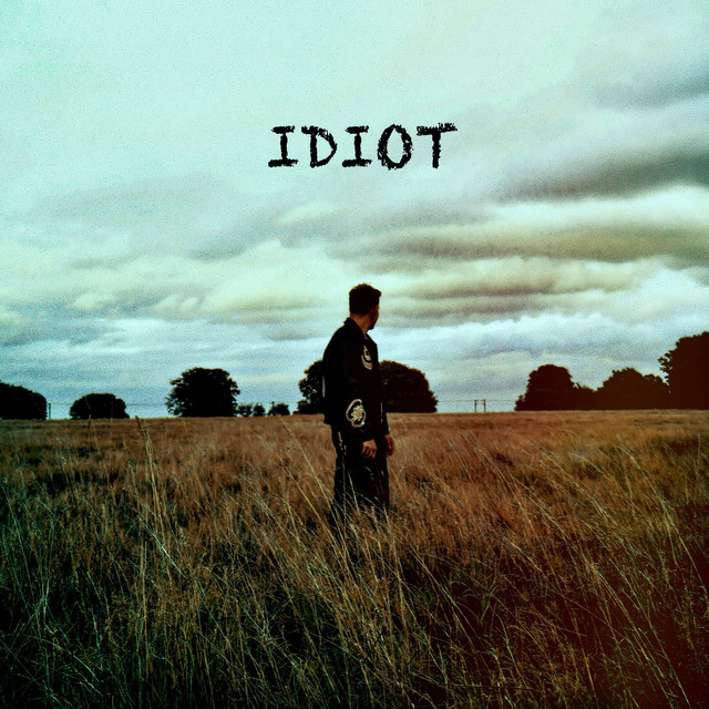 IDIOT cover art