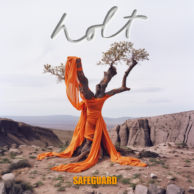 Safeguard cover art