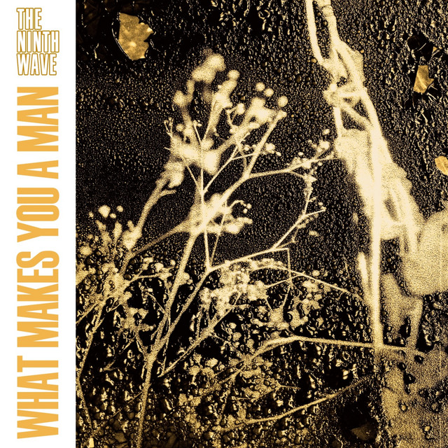 Cover of What Makes You a Man by The Ninth Wave