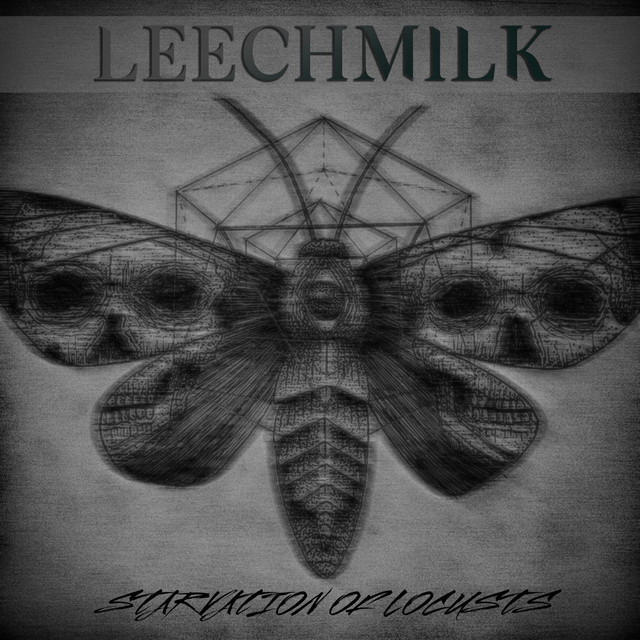 Leechmilk Photo