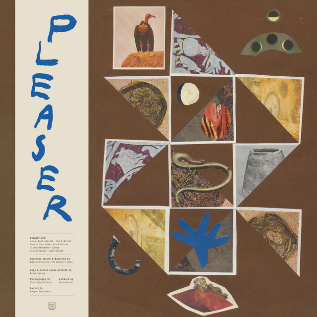 Pleaser cover art