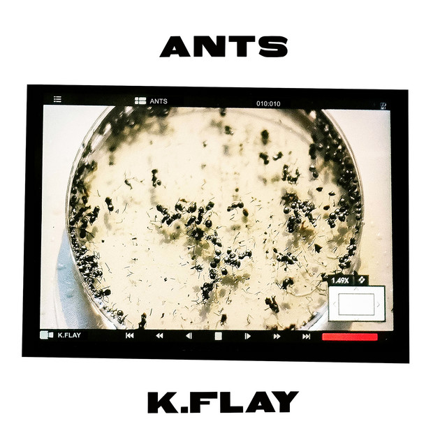 Ants artwork
