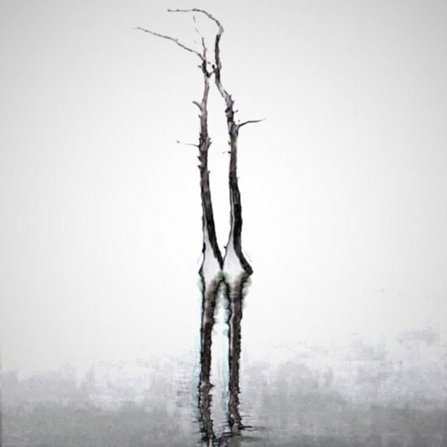 ScanD Vol. II cover art