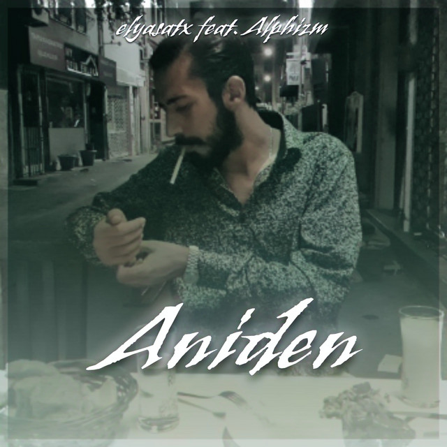 Aniden cover art