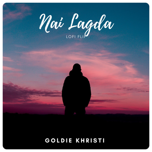 Nai Lagda (Lofi)