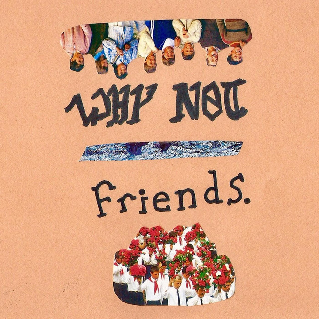 Friends. cover art