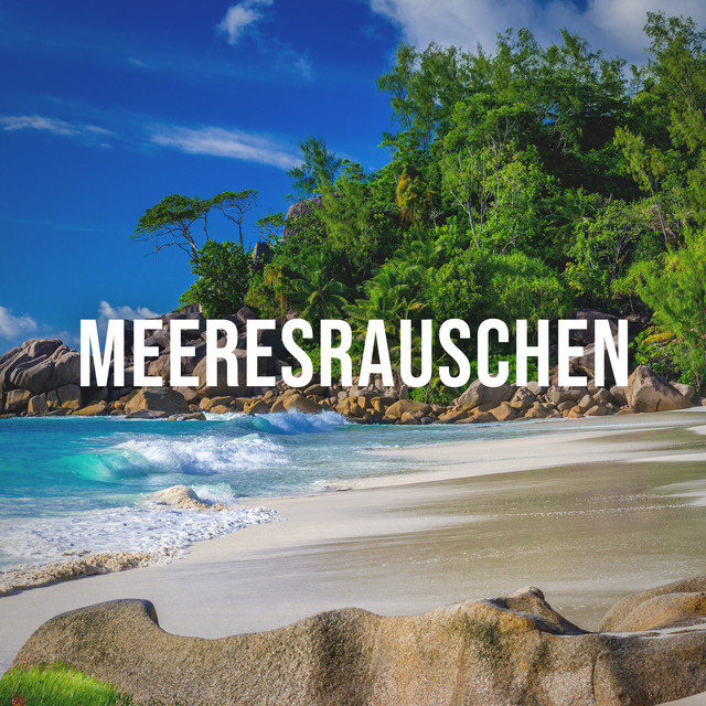 Meeresrauschen: Soothing Sounds of the Sea When It Hits the Beach White Noise Against Winter Depresion cover art