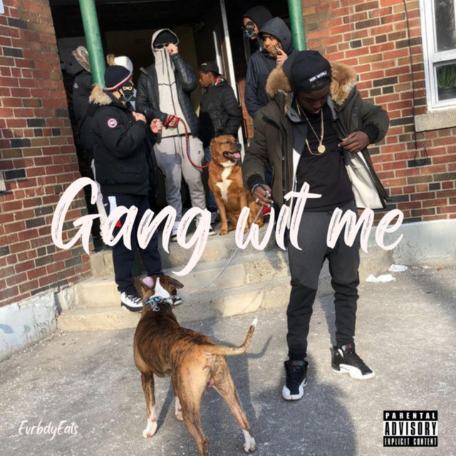 Gang Wit Me album image