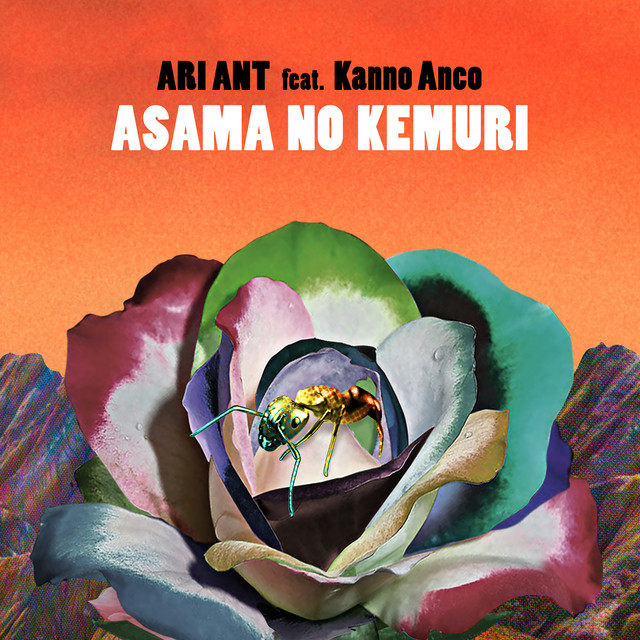 Ari Ant | Spotify