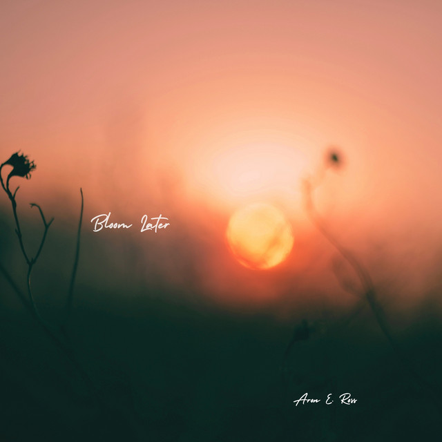 Bloom Later cover art
