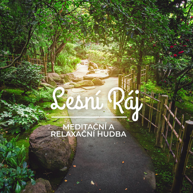 Lesní Ráj: Meditační a Relaxační Hudba cover art