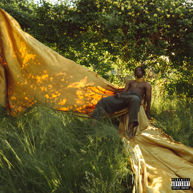 REBORN cover art