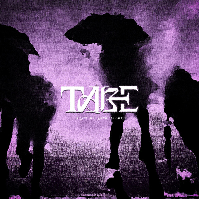Triste au bon endroit cover art